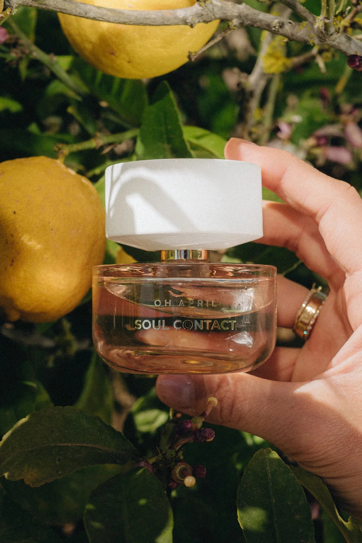 EAU DE PARFUM SOUL CONTACT 50ML