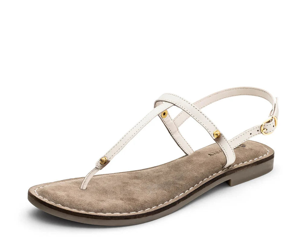 COMFORT TAUPE TS